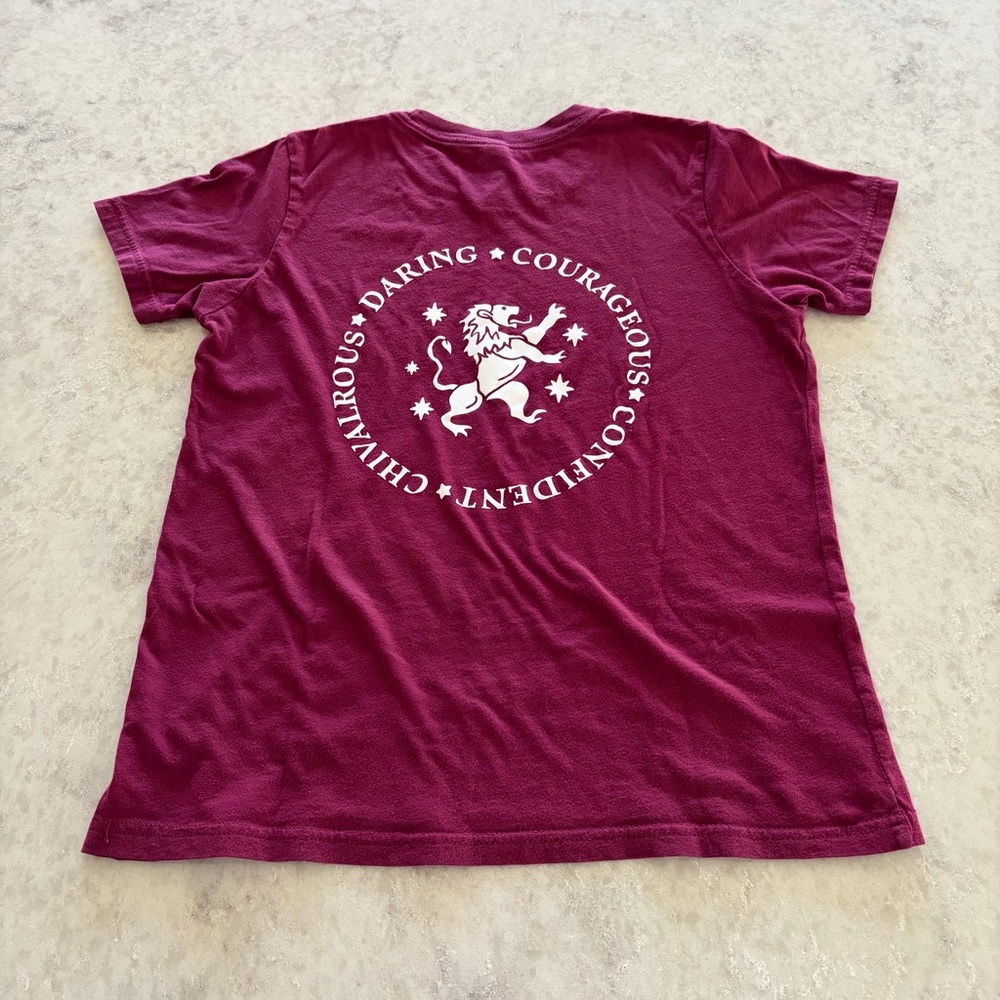 Harry Potter Gryffindor Traits Tee - Size L (14/16)